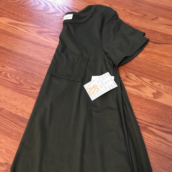 LuLaRoe Dresses & Skirts - BNWT XS Carly hunter green smoke/pet free home